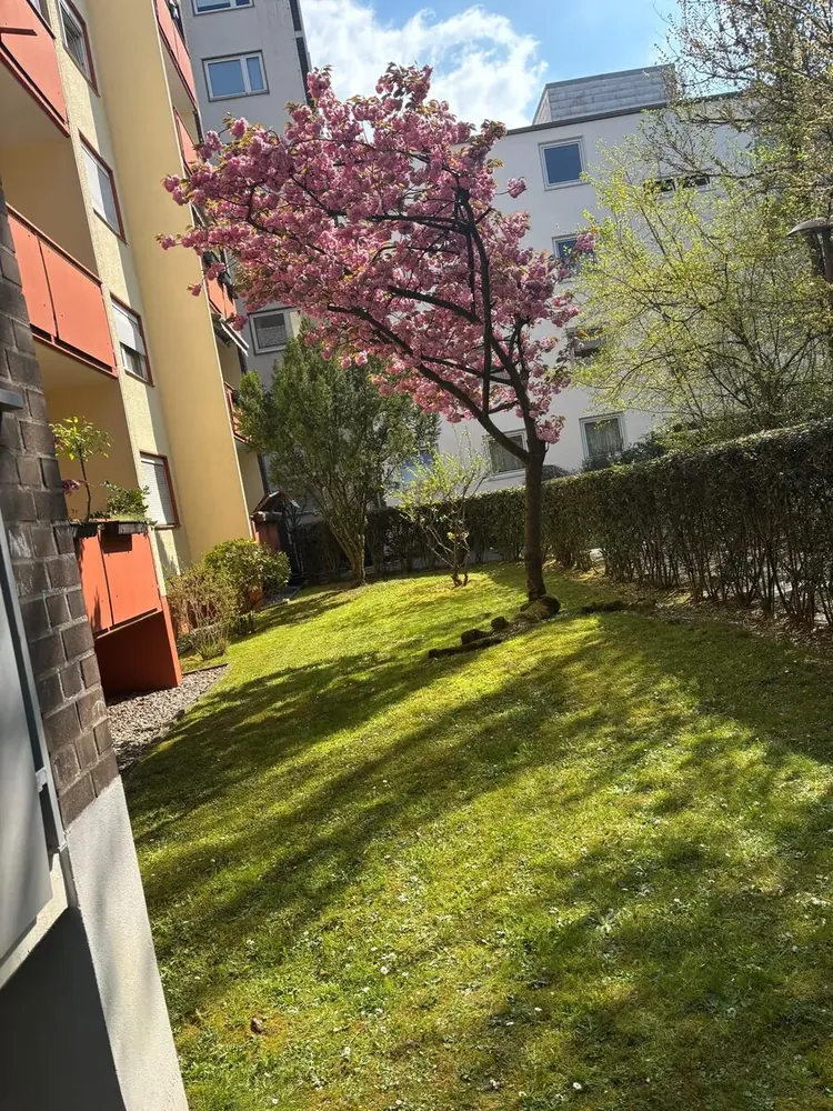 Gepflegte Grünanlage einer Wohnanlage in Köln – Außenanlagenpflege von Hermanos