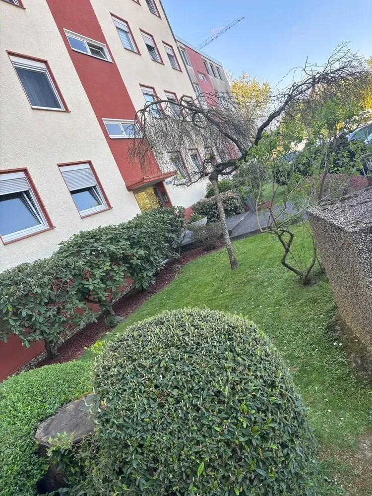 Gepflegte Außenanlage einer Wohnanlage in Köln